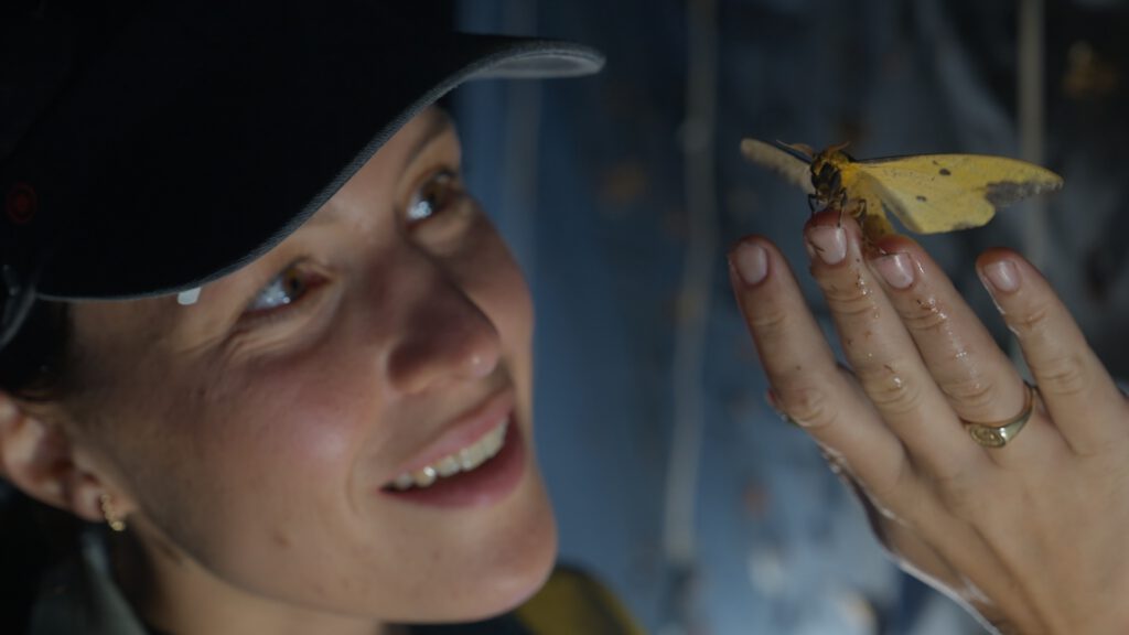 Hannah Emde zu "Terra X: Faszination Erde" mit Andrea Zschocher