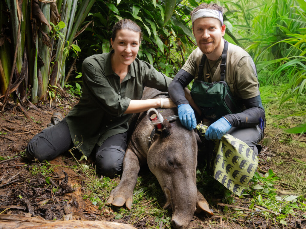 Hannah Emde zu "Terra X: Faszination Erde" mit Andrea Zschocher